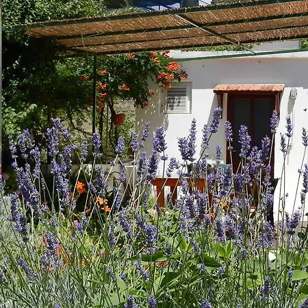 Teo 1 Gasthof Hvar Town