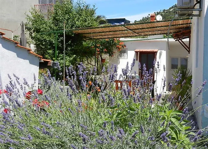 Guest house Teo 1 3*