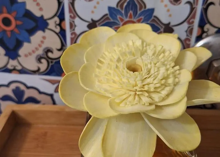 Guest house Teo 1 3*