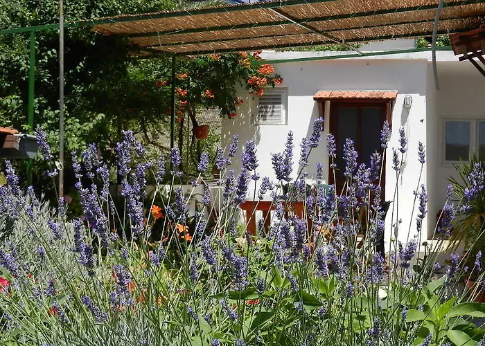 Teo 1 Guest house Hvar Town