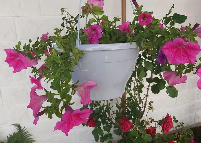 Gostinjska kuća Teo 1